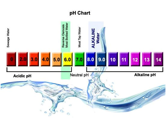 ปรับสมดุลร่างกายด้วยน้ำที่มีค่า pH 8.88 Iceland Spring ค่ะ